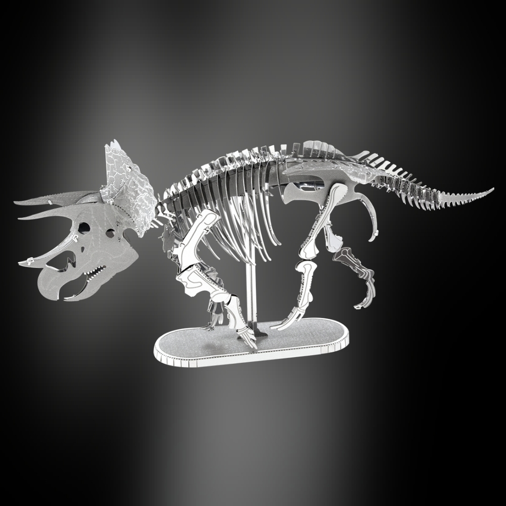 TRICERATOPS SKELETON 3D Modeling Kit